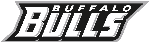 Buffalo Bulls 2007-Pres Wordmark Logo iron on paper